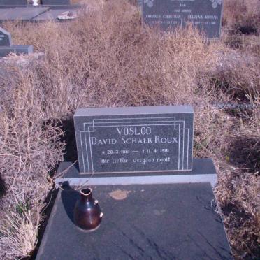 VOSLOO David Schalk Roux 1961-1981