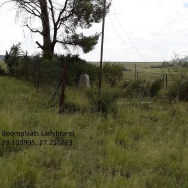 Free State, LADYBRAND district, Boomplaats 248, farm cemetery