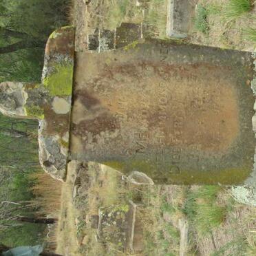 JONES Noel Hammond -1896