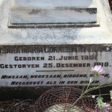 TERBLANCHE Susara Maria Cornelia 1891-1918