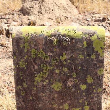 ANDERSON Frederik Wilhelm 1867-1941