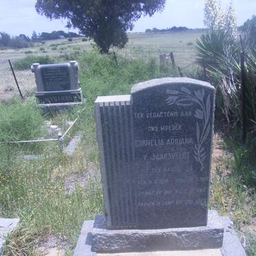 JAARSVELDT Cornelia Adriana, v. nee NAUDE 1894-1964