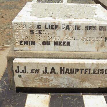 HAUPTFLEISCH Daniel Benjamin 1917-1934