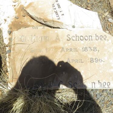 SCHOOMBEE Gielliam A. 1838-1896 &amp; Elizabeth G. JOUBERT 1842-1896x