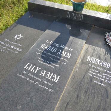 A - Surnames :: Vanne - A