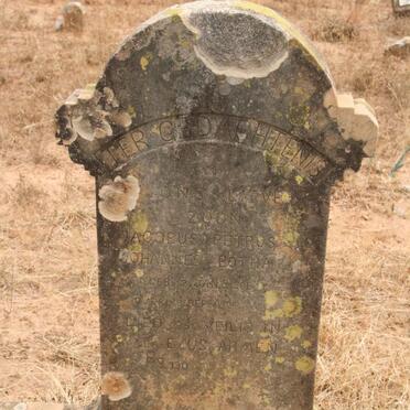 BOTHA Jacobus Petrus Johannes 1906-1924