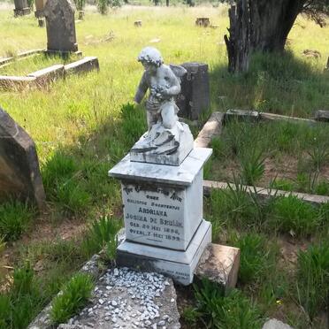 BRUIJN Ardriana Josina, de 1896-1899