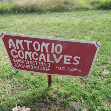 GONCALVES Antonio 1953-2016