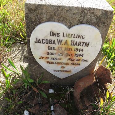 HARTMAN Jacoba W.A. 1944-1944