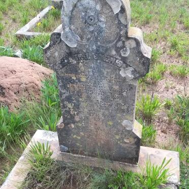 LINDE Stephanus Anries, van der