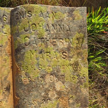 MARAIS Pieter Sarel Paulus J. 187?-1943 & Johanna Catherina BEZUIDENHOUT 1895- _2