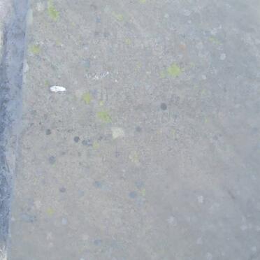 NIEKERK ? Johanna, van 1862-1898