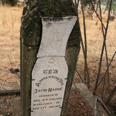 NAUDE David 1875-1902