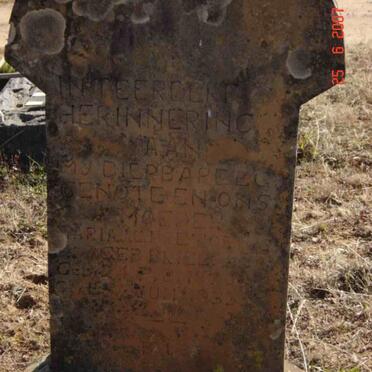 PRETORIUS Maria J.C. nee BRIEL 1870-1935