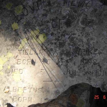 PIKE Tiellie 1908-1910 :: PIKE Albertus -1917