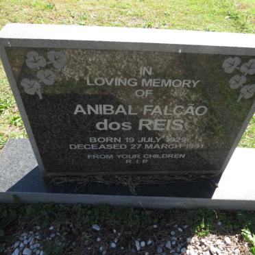REIS Anibal Falcao, dos 1929-1991