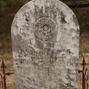 SPILLER Charles James 1850-1902