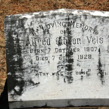VELS Alfred Gibbon 1907-1928
