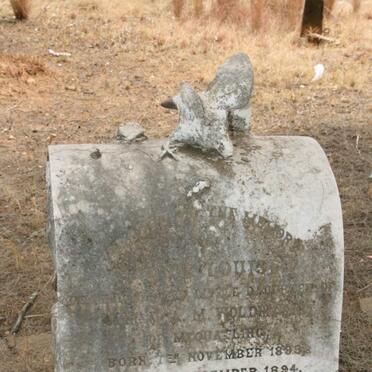 WOLDMANN ? Louise 1893-1894