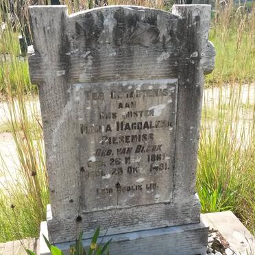 ZIESENESS Maria Magdalena nee VAN BLERK 1867-1931