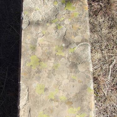 REYNOLDS Sophia -1891 :: REYNOLDS George Clement -1890 _1