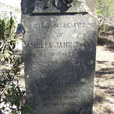 TAYLOR Thomas H. -1907 &amp;  Amelia Jane TODD -1897