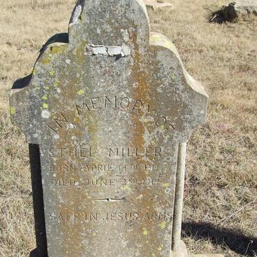 MILLER Ethel 1914-1914