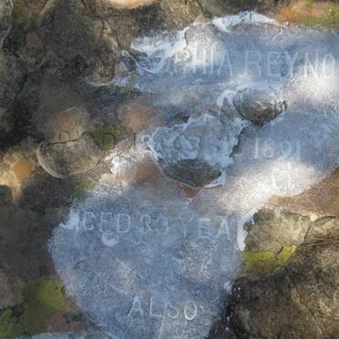 REYNOLDS Sophia -1891 :: REYNOLDS George Clement -1890 _3