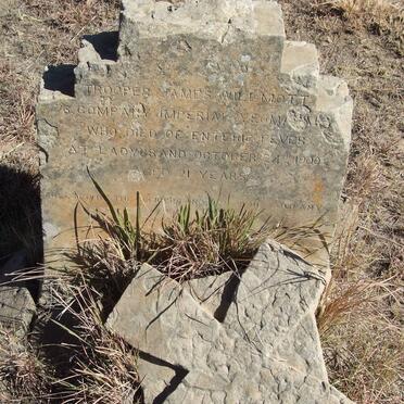 WILLMOTT James -1900 _2