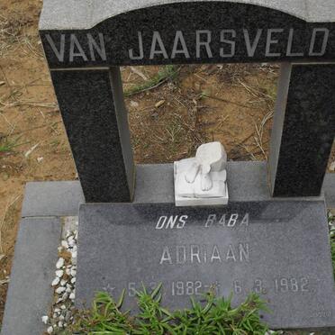 JAARSVELDT Adriaan, van 1982-1982