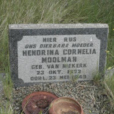 MOOLMAN Hendrina Cornelia nee VAN NIEKERK 1872-1949
