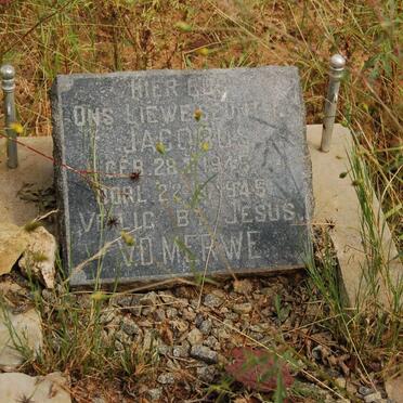 MERWE Jacobus, v.d. 1945-1945