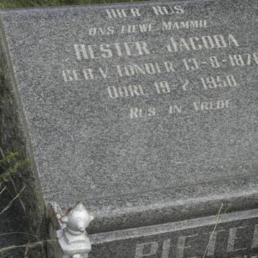PIETERS Hester Jacoba nee V. TONDER 1878-1950
