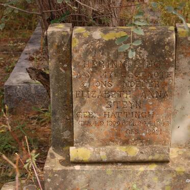 STEYN Elizabeth Anna nee HATTINGH 1909-1943