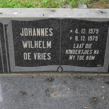 VRIES Johannes Wilhelm, de 1979-1979