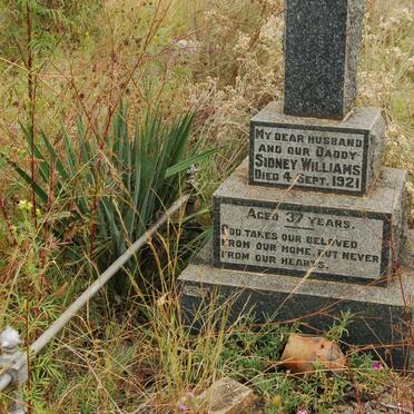 WILLIAMS Sidney -1921