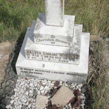 WHITING Walter Swaine 