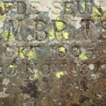 BRITS Willem 1905-1910 