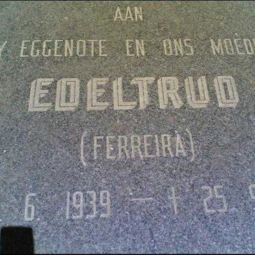 Free State, MARQUARD district, Cypress 36, farm cemetery