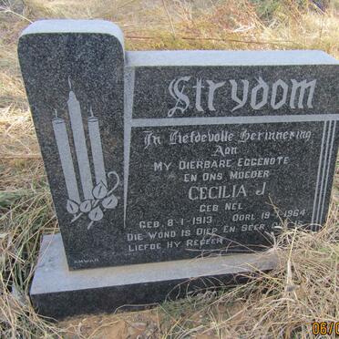 STRYDOM Cecilia J. nee NEL 1913-1964