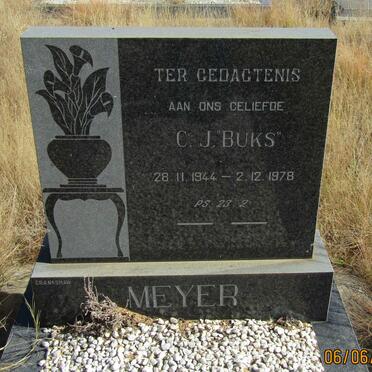 MEYER C.J. 1944-1978