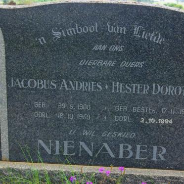 NIENABER Jacobus Andries 1908-1959 &amp; Hester Dorothea BESTER 1912-1994