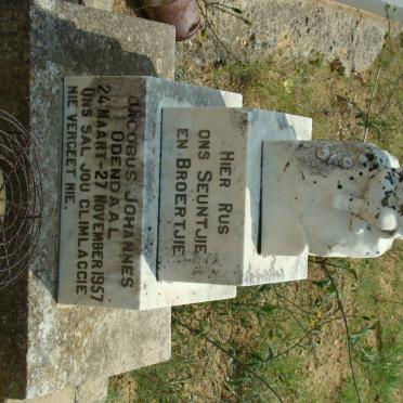 ODENDAAL Jacobus Johannes 1957-1957