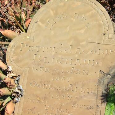 BLIGNAUD Petrus Jacobus 1857-1922