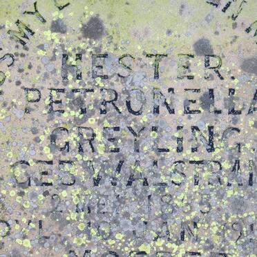 GREYLING Hester Petronella nee WALSTRAND 1935-1914 :: COETZEE Alletta Johanna nee PRINSLOO