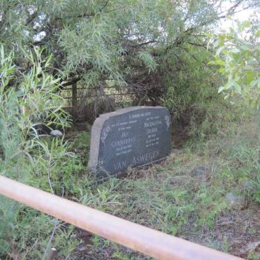 4. Overview inside the cemetery