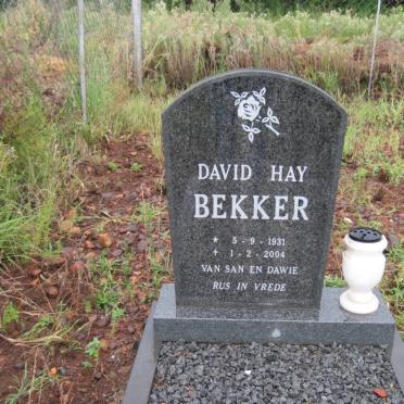 BEKKER David Hay 1931-2004