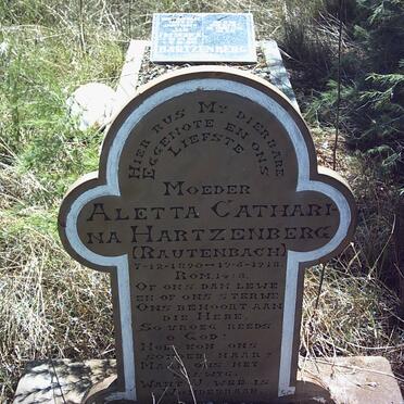 Free State, PARYS district, Turffontein 131, farm cemetery