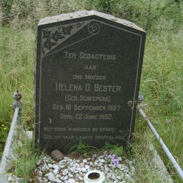 BESTER Helena D. nee SCHEEPERS 1857-1952