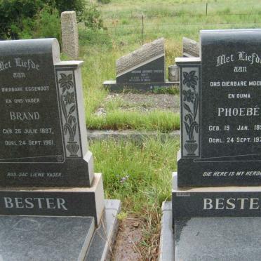 BESTER Brand 1887-1961 &amp; Phoebe 1890-1979